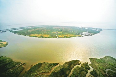 人妻一本久道久久综合久久鬼色