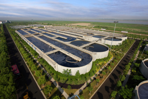 人妻一本久道久久综合久久鬼色