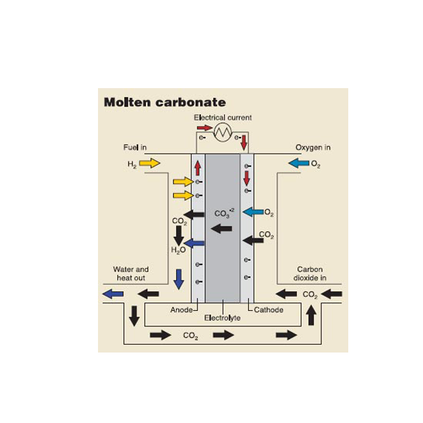 人妻一本久道久久综合久久鬼色