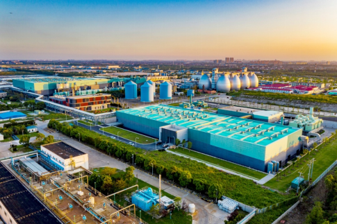 人妻一本久道久久综合久久鬼色