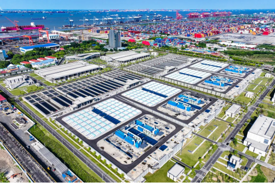 人妻一本久道久久综合久久鬼色